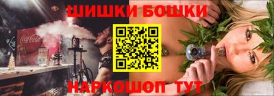 гашик Будённовск
