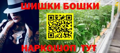 гашик Будённовск