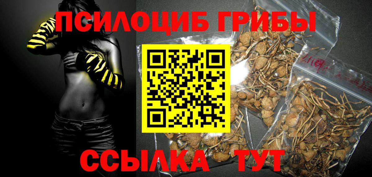 закладка  Галлюциногенные грибы ЛСД  Вход с VPN  Россошь 